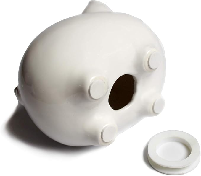 Piggy Bank,Child to Cherish Ceramic Pig Money Piggy Banks for Boys Girls Kids White